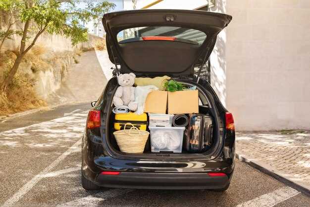 Best Tips to Organize Your Car Trunk