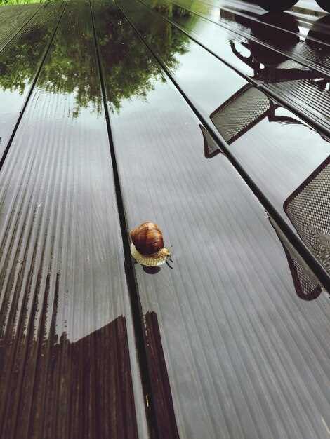 Preventive Measures to Avoid Future Sunroof Leaks